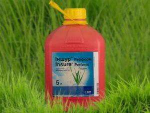 คำแนะนำสำหรับการใช้ Inshura Perform ส่วนประกอบและสารคล้ายสารรักษาเมล็ดพืช