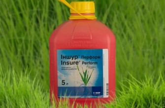 ประกันภัย