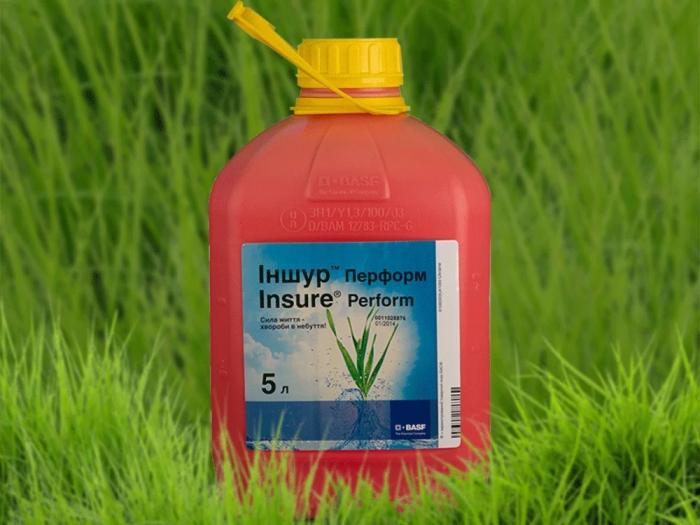 ประกันภัย