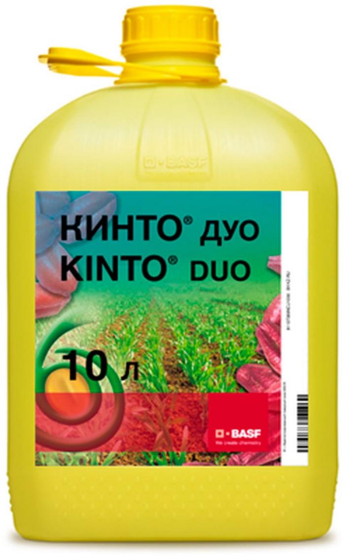 คินโตดูโอ