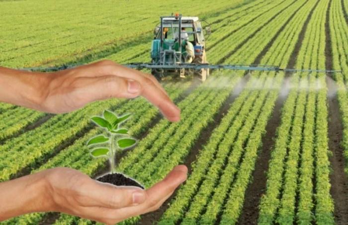 สมบัติล้ำค่า