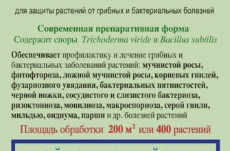 สปอโรแบคทีเรียนสำหรับพืช: คำแนะนำในการใช้