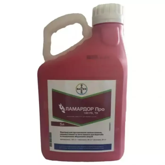 Pansement aux graines de Lamador