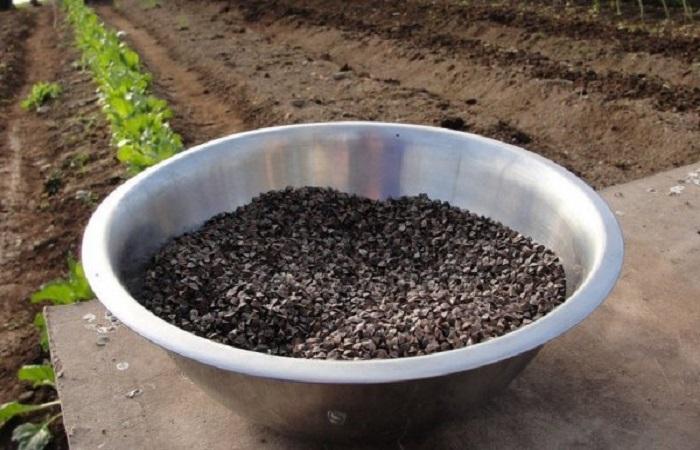 อ่างปุ๋ยพืชสด