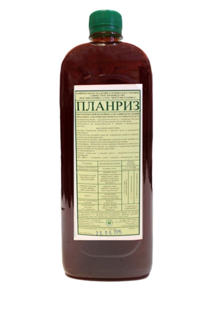 แพลนริซ