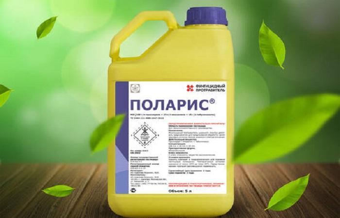 น้ำยาฆ่าเชื้อโพลาริส