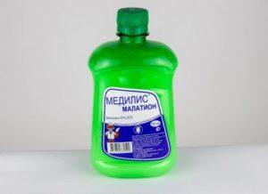 คำแนะนำในการใช้มาลาไธออนและยาที่รวมอยู่ในยาเหล่านี้