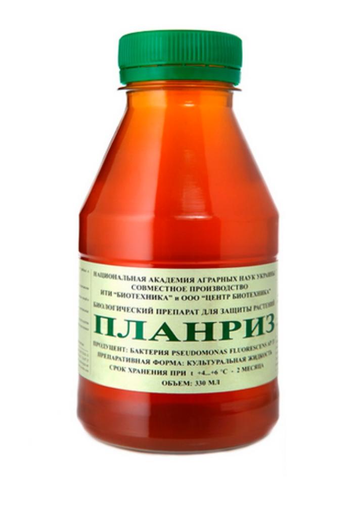 แพลนริซ