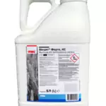 น้ำสลัดเมล็ดพืช Vincit Forte