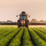 ไพรีทรอยด์