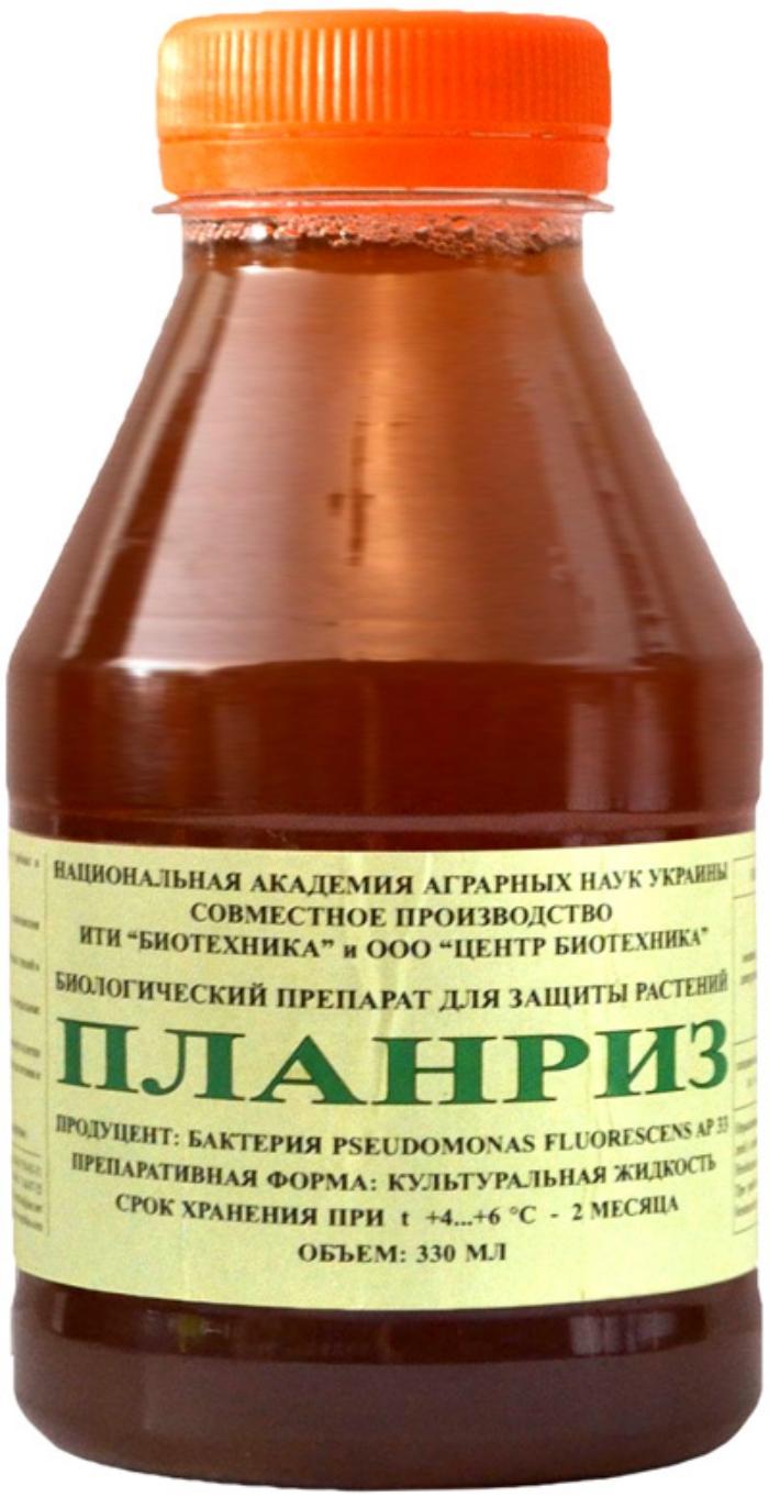 แพลนริซ