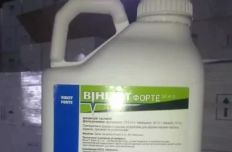 น้ำสลัดเมล็ดพืช Vincit Forte