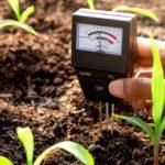 ปุ๋ยพืชสดชนิดใดที่ช่วยกำจัดกรดในดิน?