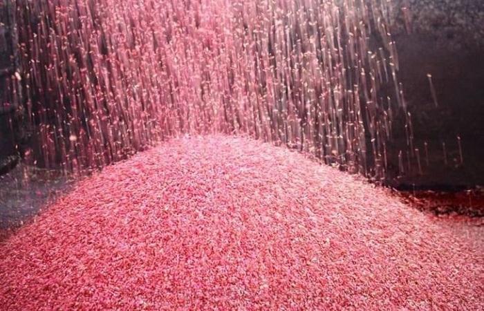 น้ำยาฆ่าเชื้อโพลาริส