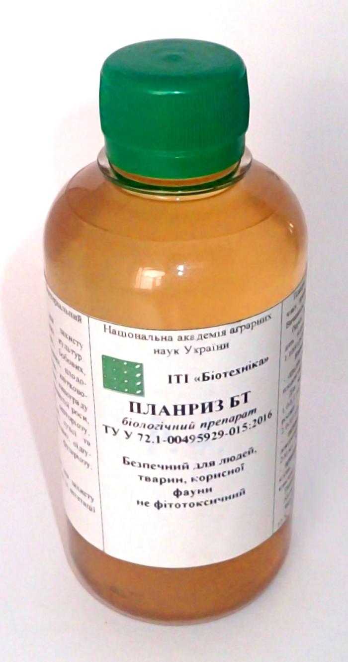 แพลนริซ