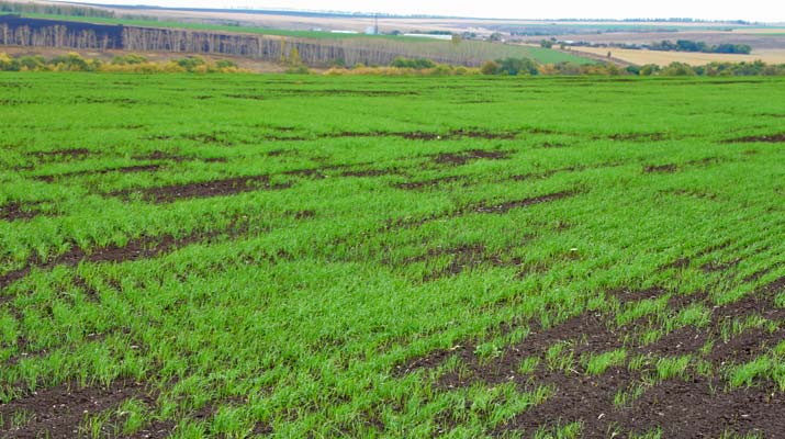 น้ำยาฆ่าเชื้อโพลาริส