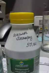 คำแนะนำในการใช้และส่วนประกอบของ Planriz ขนาดยาและสารคล้าย