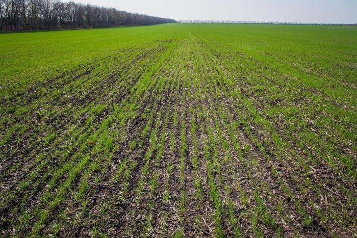 น้ำยาฆ่าเชื้อโพลาริส