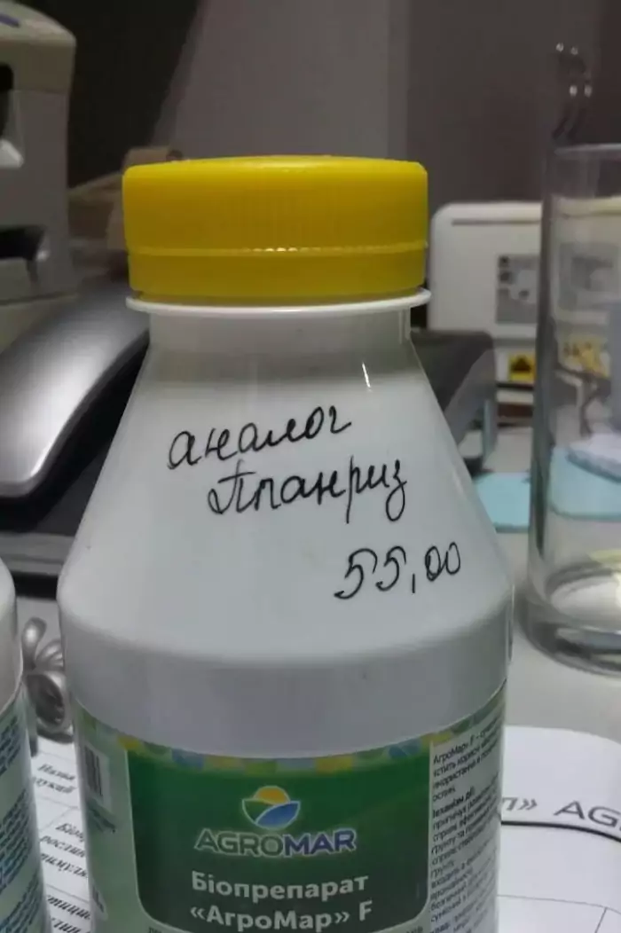 แพลนริซ