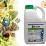 ไพรีทรอยด์