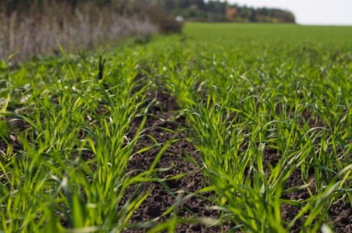 น้ำยาฆ่าเชื้อโพลาริส