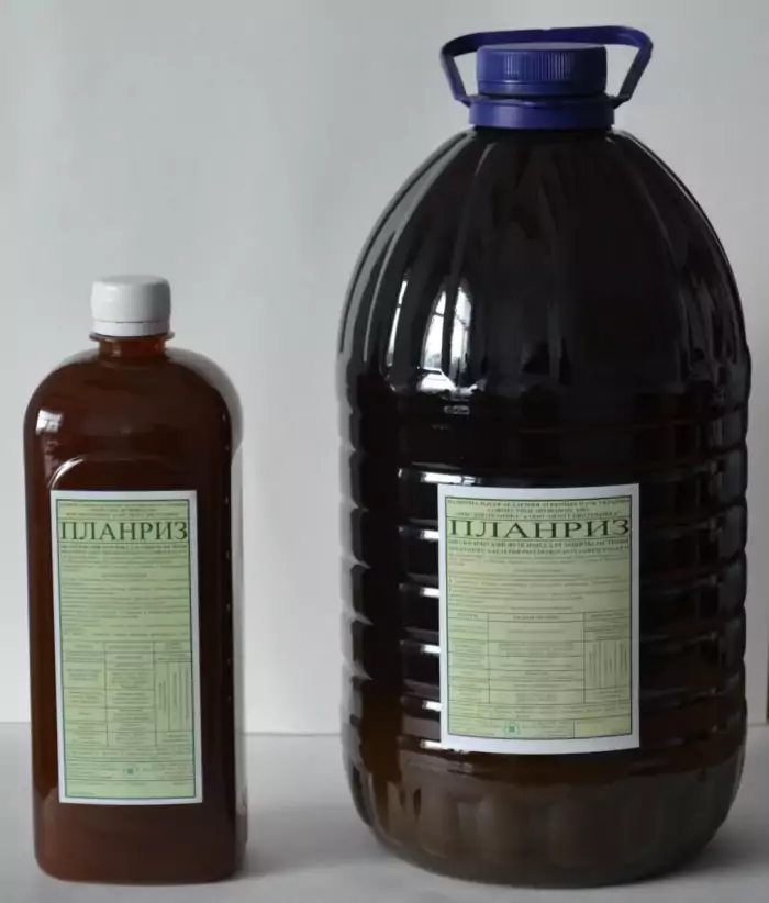 แพลนริซ