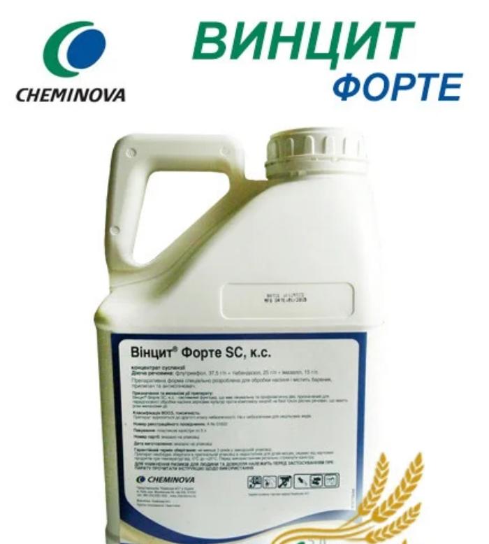 น้ำสลัดเมล็ดพืช Vincit Forte