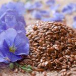 แฟลกซ์เป็นปุ๋ยพืชสด