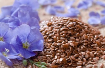 แฟลกซ์เป็นปุ๋ยพืชสด