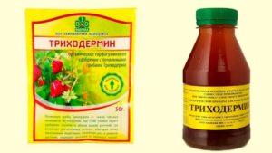 ส่วนประกอบของไตรโคเดอร์มินและคำแนะนำสำหรับการใช้สารป้องกันเชื้อราชนิดอนาล็อก