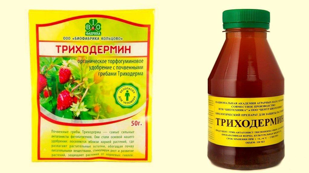 ไตรโคเดอร์มิน