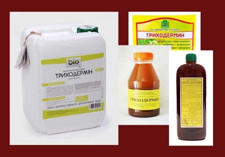 ภาพ "ไตรโคเดอร์มิน"