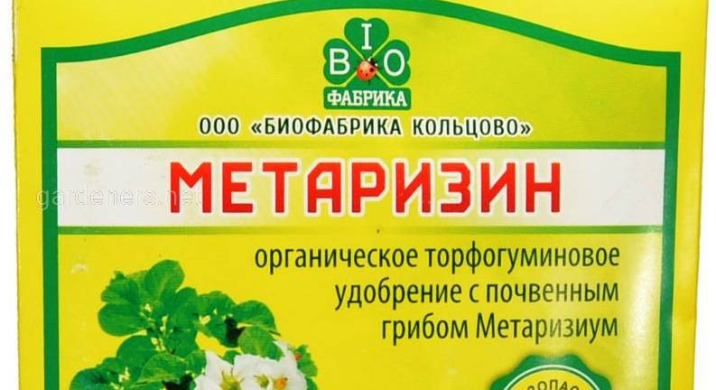 เมทาริซิน