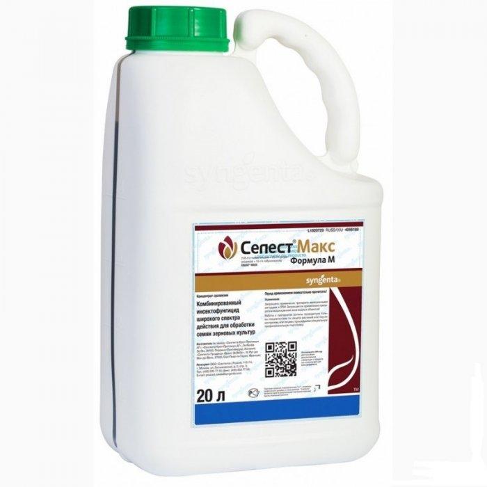 เซเลสเต้ แม็กซ์