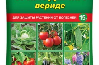 ไตรโคเดอร์มาเวิร์ด