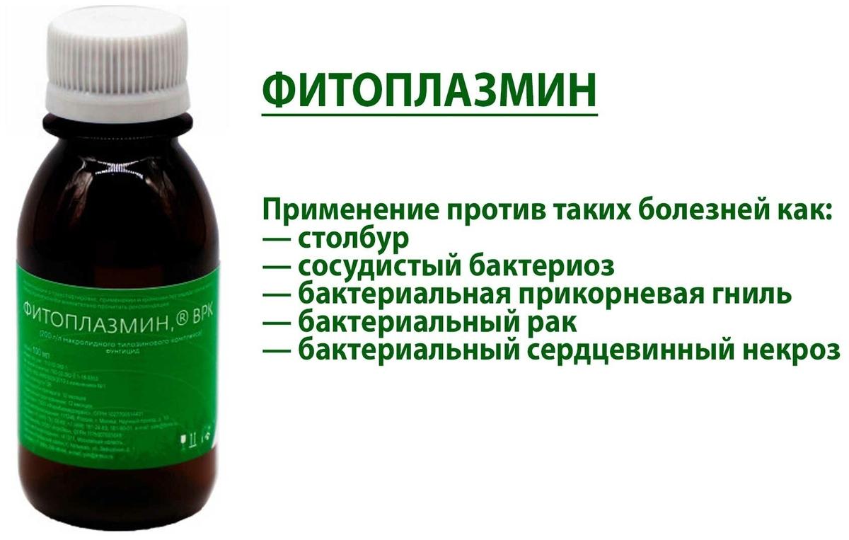 ไฟโตพลาสมิน