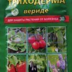 ไตรโคเดอร์มาเวิร์ด