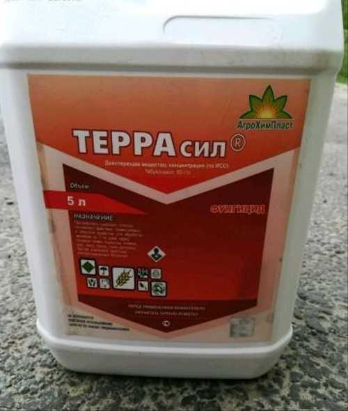 Photo de Terrasil Forte