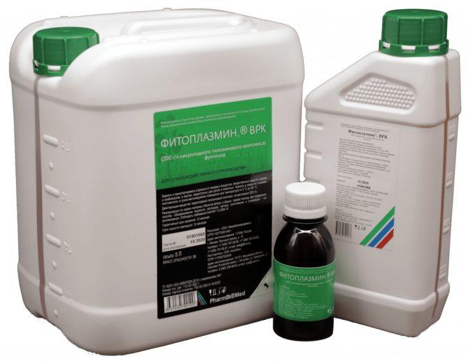 ไฟโตพลาสมินโฟโต้