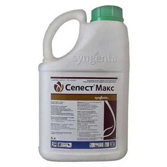 เซเลสเต้ แม็กซ์ ในกระป๋อง