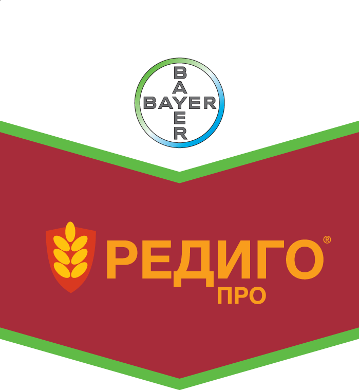 โฆษณา "Redigo Pro"