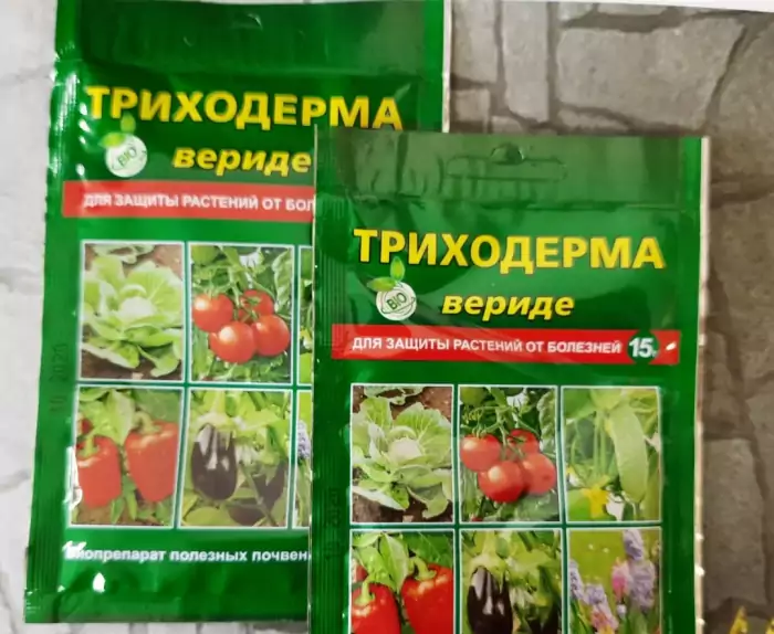 ไตรโคเดอร์มาเวิร์ด