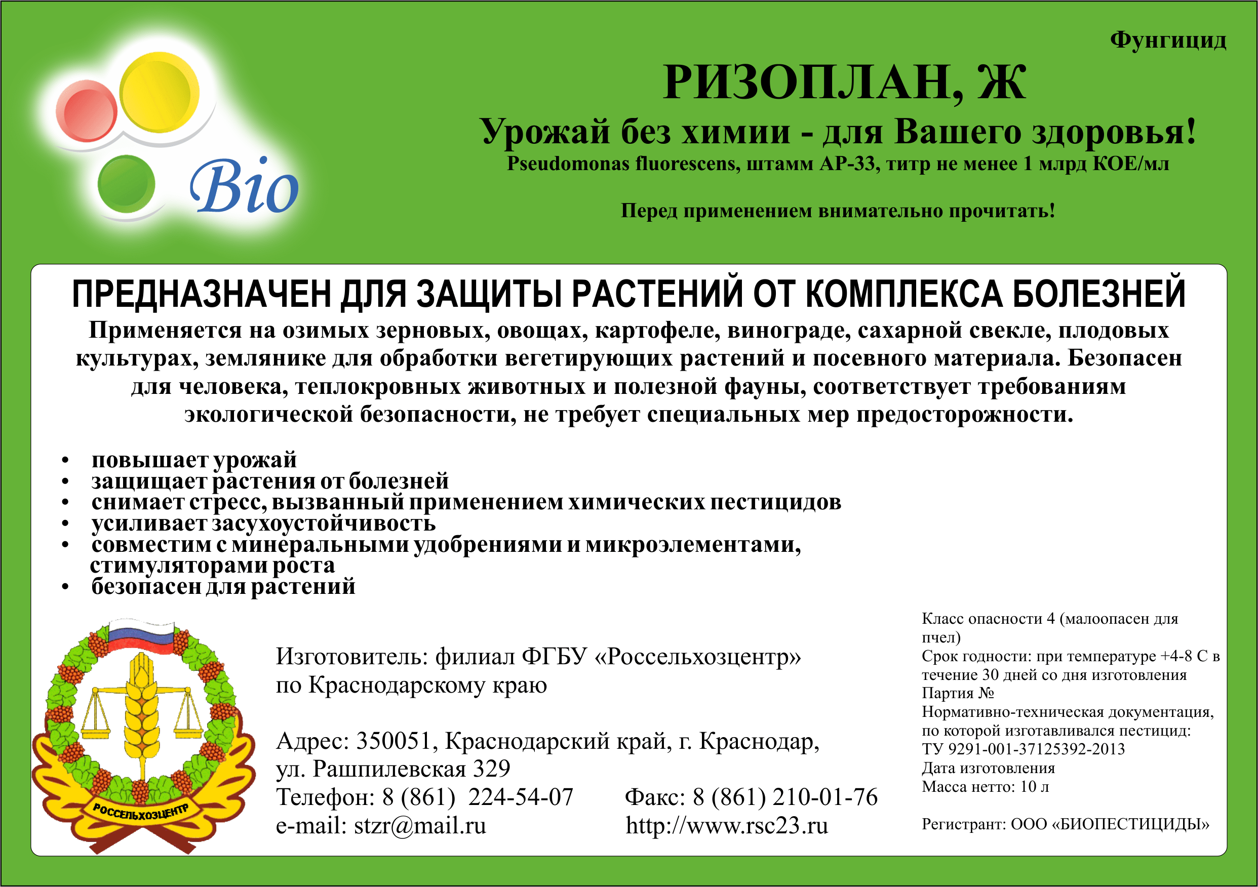 Photographie de composition « Rizoplan »