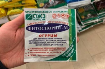 ไฟทอปธอร่า