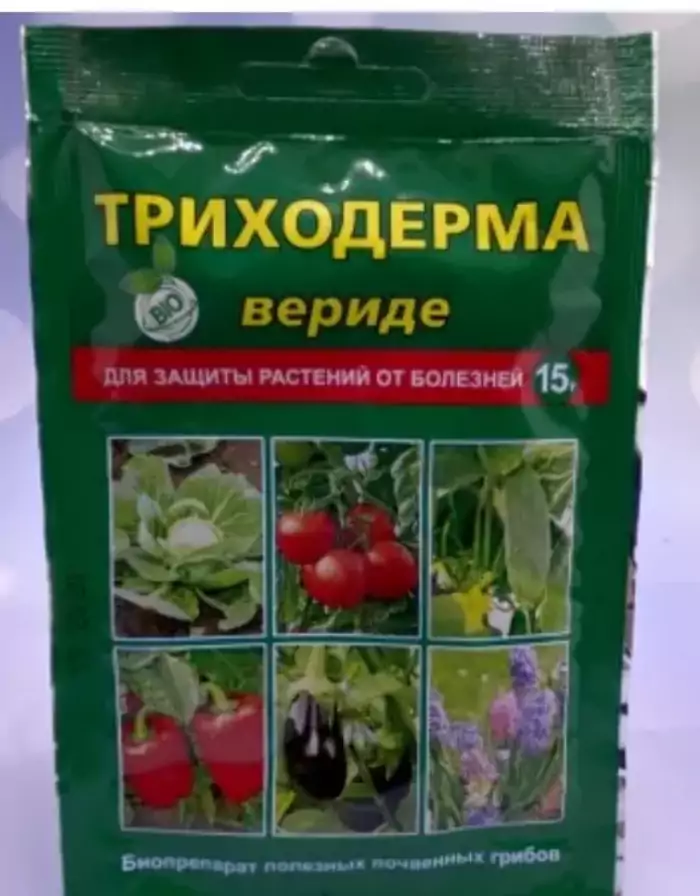 ไตรโคเดอร์มาเวิร์ด