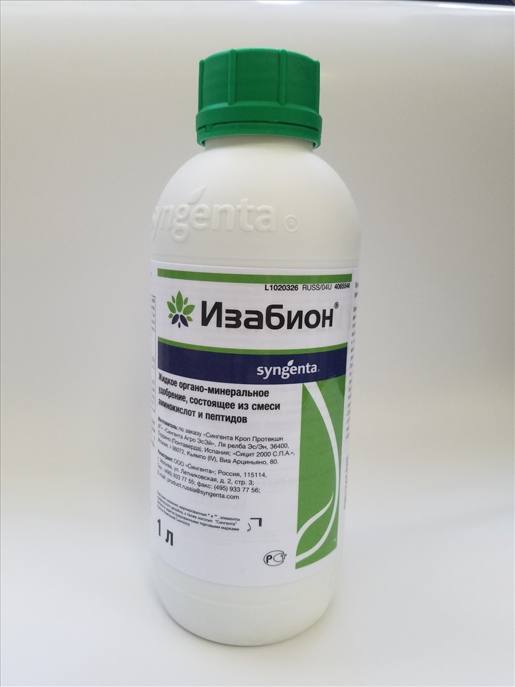 อิซาบิออน