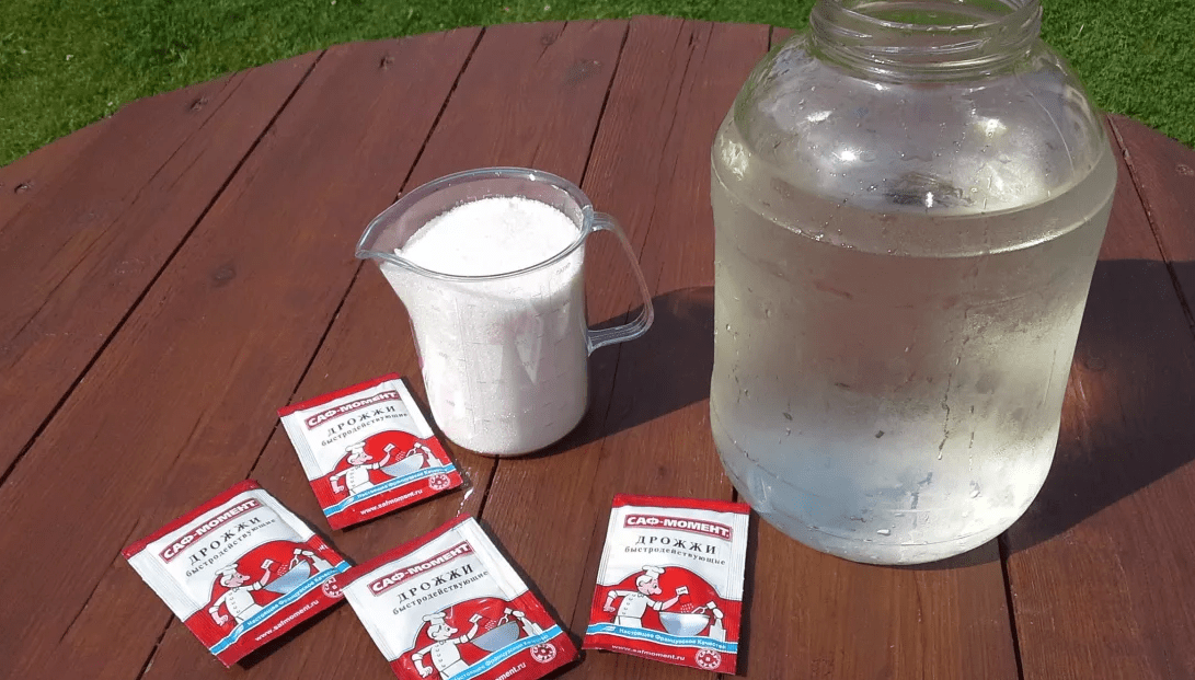 nourrir les plantes avec de la levure