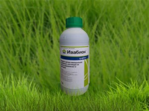 คำแนะนำการใช้ปุ๋ย Izabion ส่วนประกอบและหลักการทำงาน