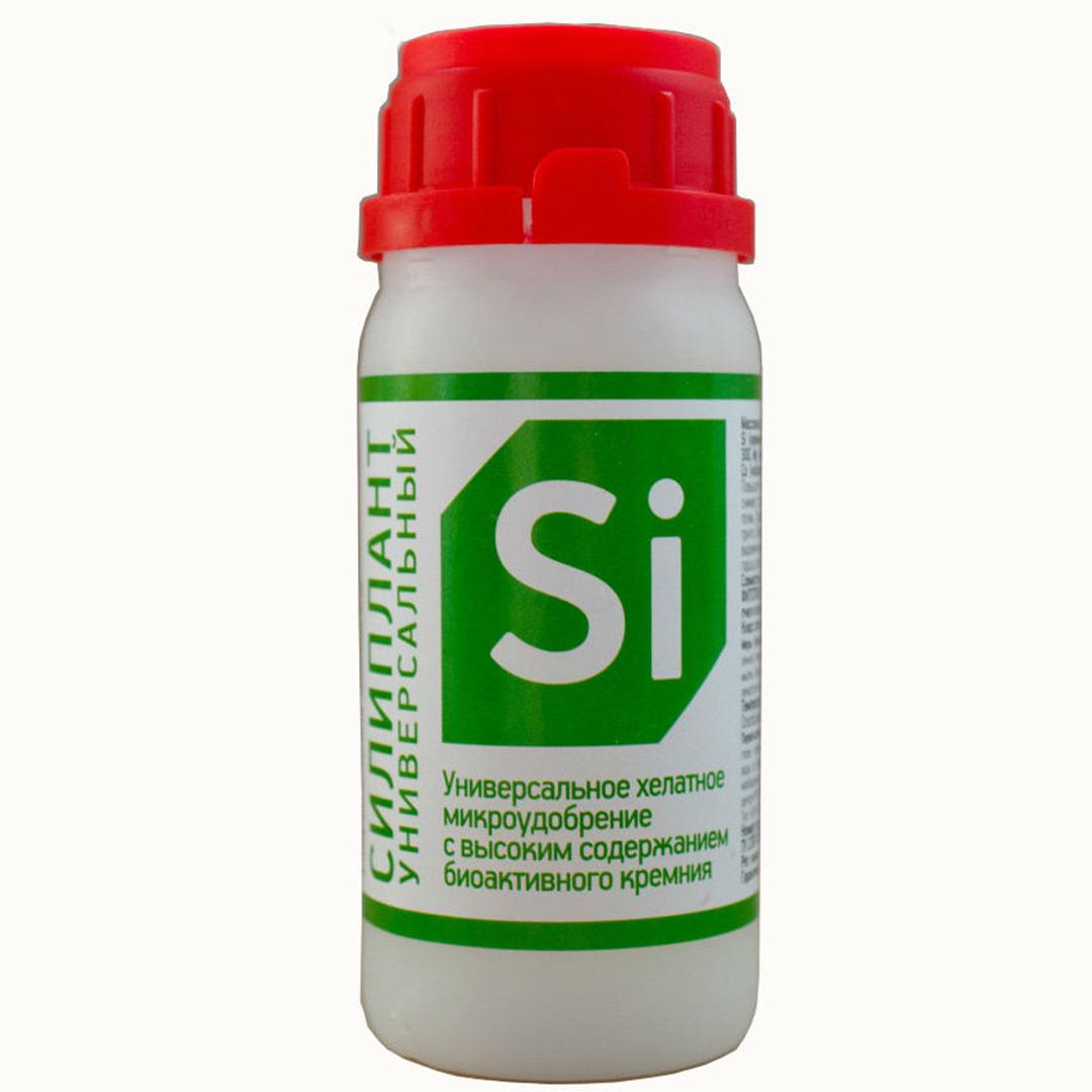 ภาพถ่ายซิลิแพลนท์