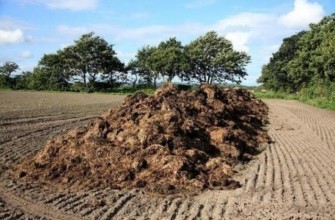 ปุ๋ยมูลเลน